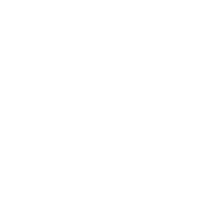 PARENT COMPANY  - NSG USA WORLD WIDE